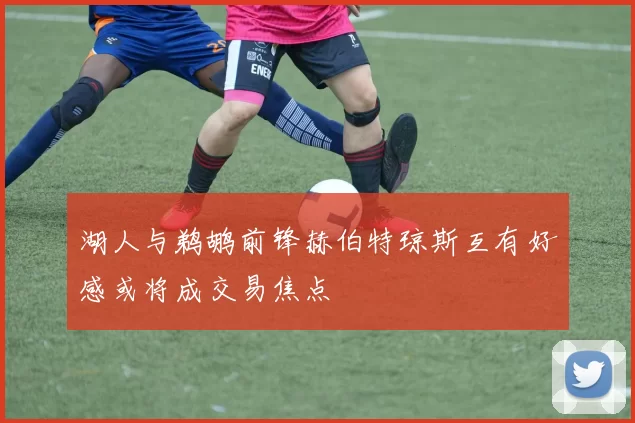 湖人与鹈鹕前锋赫伯特琼斯互有好感或将成交易焦点